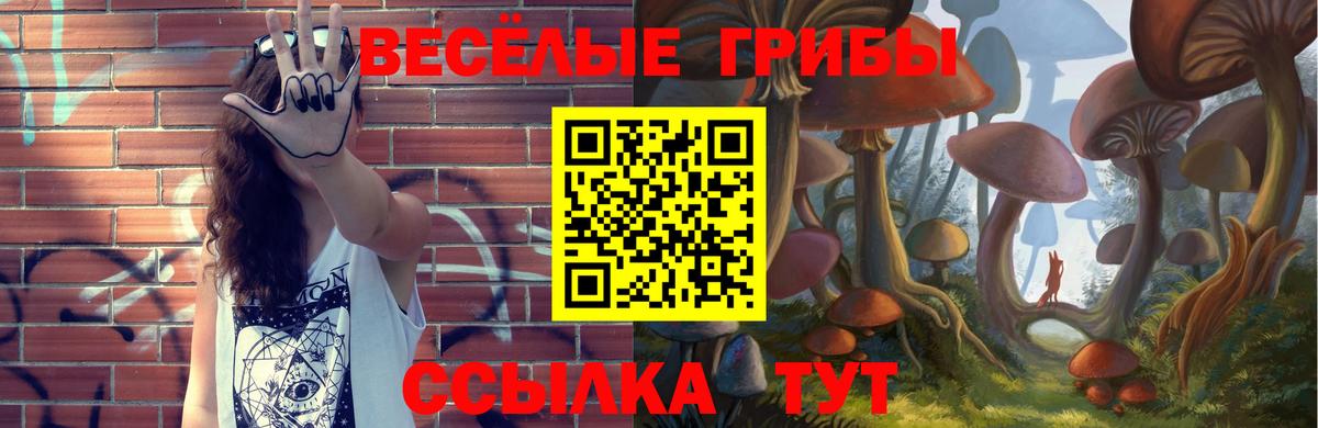 Галлюциногенные грибы Cubensis Кулебаки